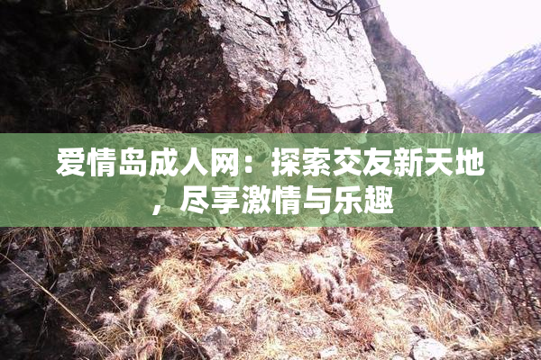 爱情岛成人网：探索交友新天地，尽享激情与乐趣