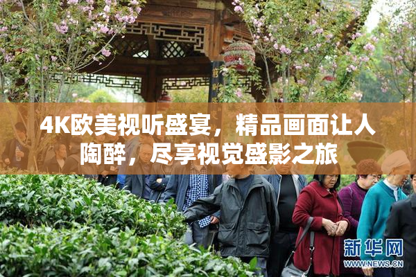 4K欧美视听盛宴，精品画面让人陶醉，尽享视觉盛影之旅
