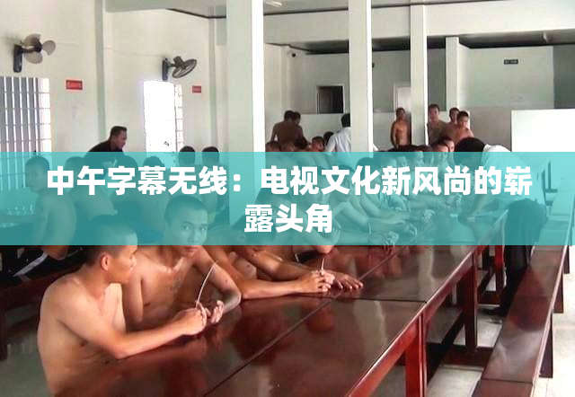 中午字幕无线：电视文化新风尚的崭露头角