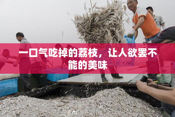 一口气吃掉的荔枝，让人欲罢不能的美味