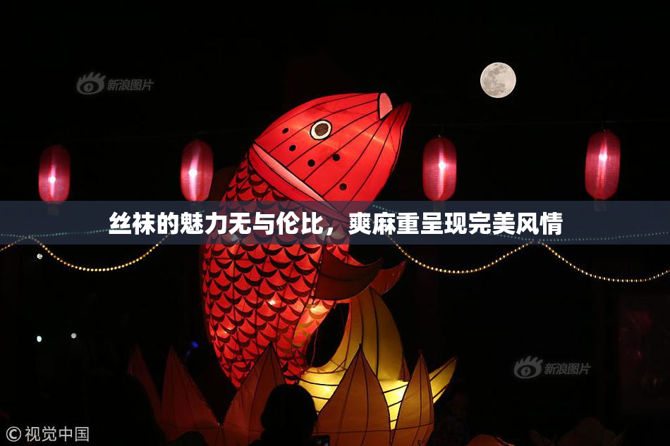 丝袜的魅力无与伦比，爽麻重呈现完美风情