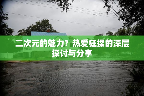 二次元的魅力？热爱狂揉的深层探讨与分享