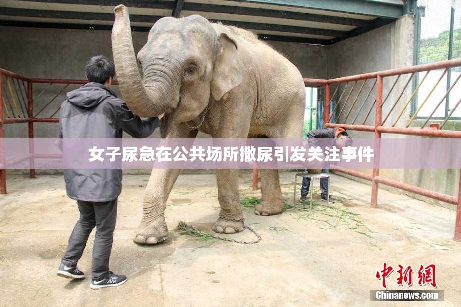 女子尿急在公共场所撒尿引发关注事件
