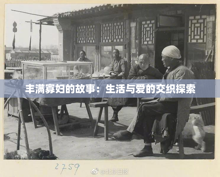 丰满寡妇的故事：生活与爱的交织探索