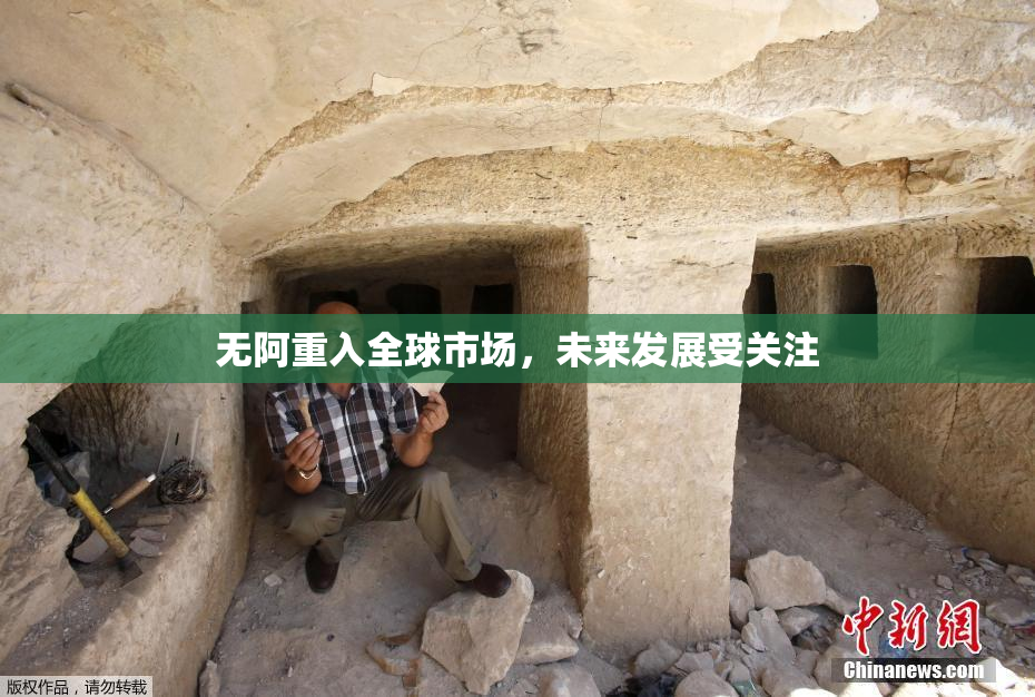 无阿重入全球市场，未来发展受关注