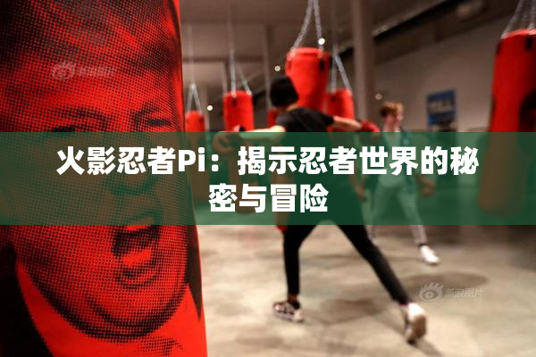 火影忍者Pi：揭示忍者世界的秘密与冒险