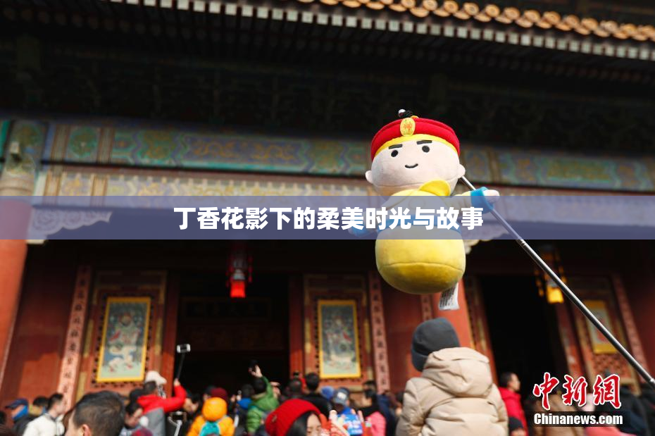 丁香花影下的柔美时光与故事