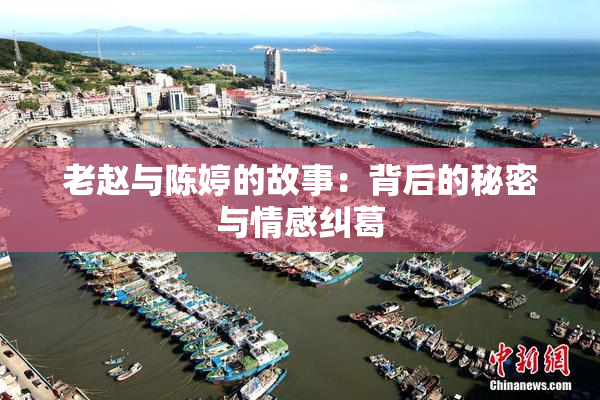 老赵与陈婷的故事：背后的秘密与情感纠葛