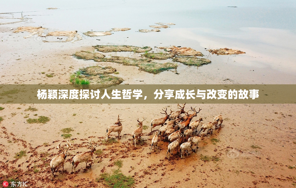 杨颖深度探讨人生哲学，分享成长与改变的故事