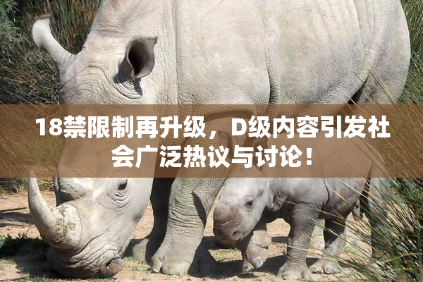 18禁限制再升级，D级内容引发社会广泛热议与讨论！