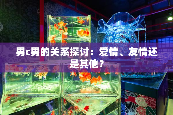 男c男的关系探讨：爱情、友情还是其他？
