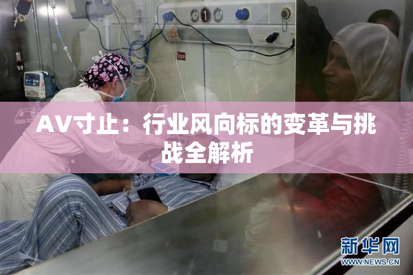 AV寸止：行业风向标的变革与挑战全解析