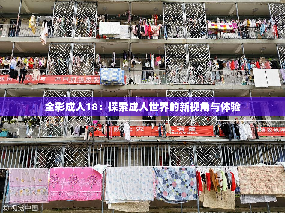 全彩成人18：探索成人世界的新视角与体验