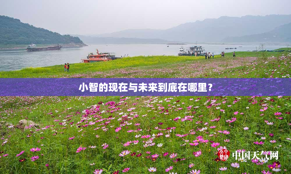 小智的现在与未来到底在哪里？
