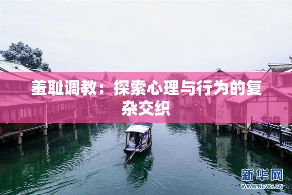 羞耻调教：探索心理与行为的复杂交织