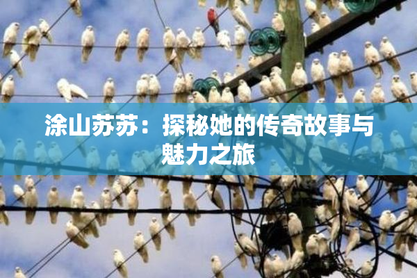 涂山苏苏：探秘她的传奇故事与魅力之旅