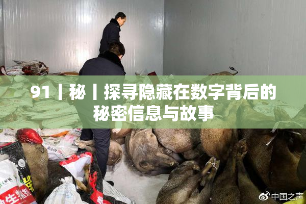 91丨秘丨探寻隐藏在数字背后的秘密信息与故事