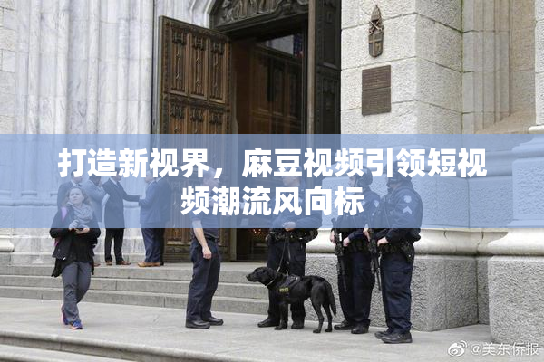 打造新视界，麻豆视频引领短视频潮流风向标