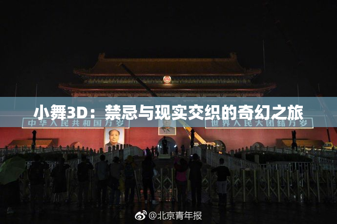 小舞3D：禁忌与现实交织的奇幻之旅