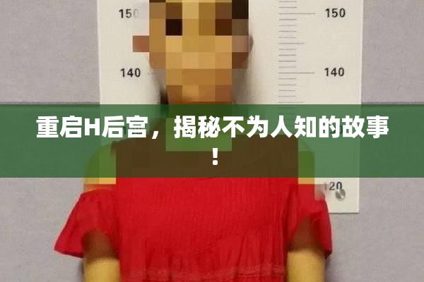 重启H后宫，揭秘不为人知的故事！