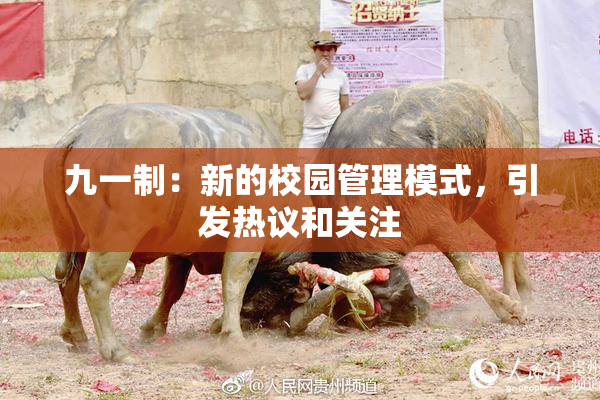 九一制：新的校园管理模式，引发热议和关注