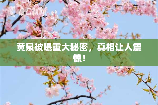 黄泉被曝重大秘密，真相让人震惊！