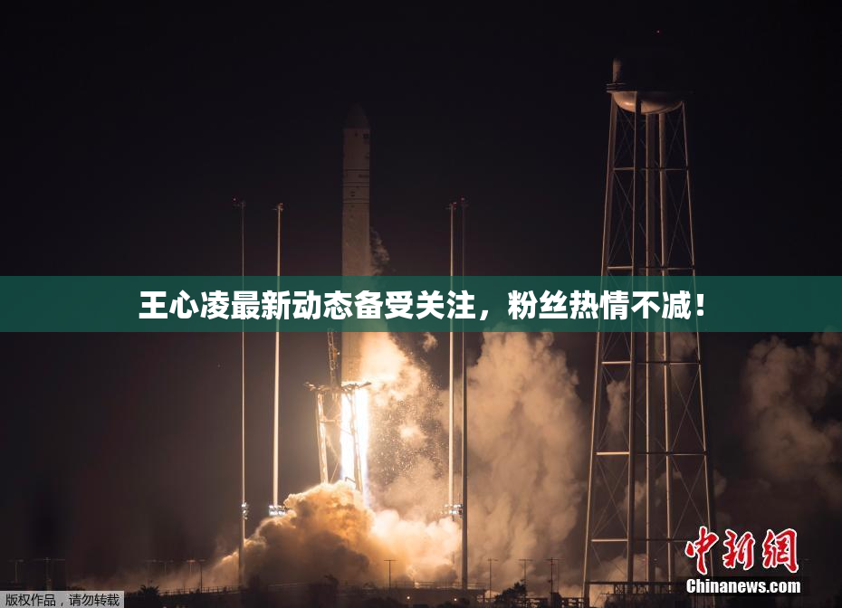 王心凌最新动态备受关注，粉丝热情不减！
