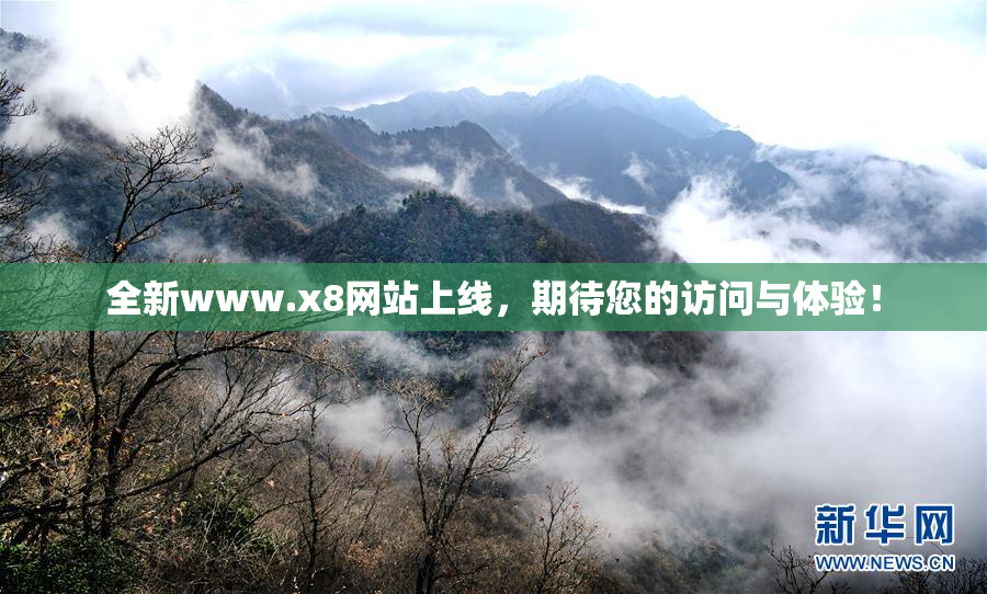全新www.x8网站上线，期待您的访问与体验！