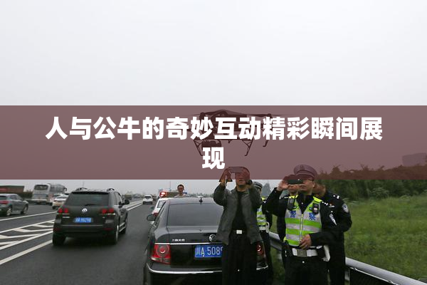 人与公牛的奇妙互动精彩瞬间展现