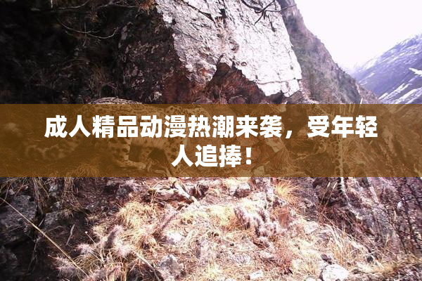 成人精品动漫热潮来袭，受年轻人追捧！
