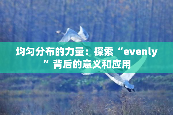 均匀分布的力量：探索“evenly”背后的意义和应用