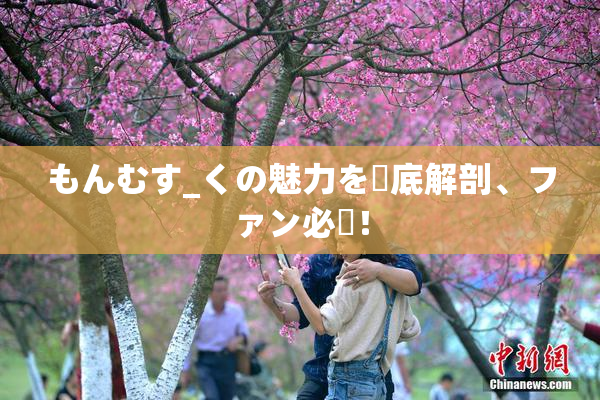 もんむす_くの魅力を徹底解剖、ファン必見！