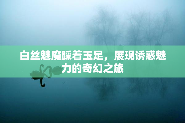 白丝魅魔踩着玉足，展现诱惑魅力的奇幻之旅