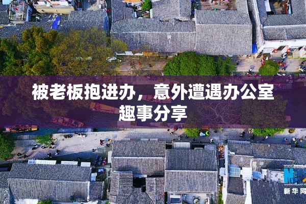 被老板抱进办，意外遭遇办公室趣事分享