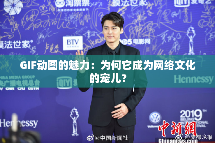GIF动图的魅力：为何它成为网络文化的宠儿？