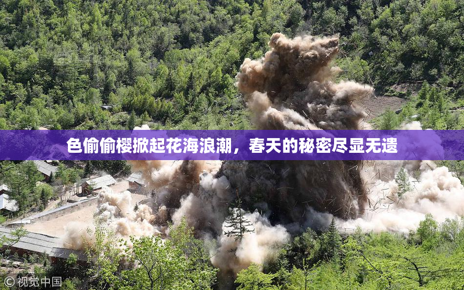 色偷偷樱掀起花海浪潮，春天的秘密尽显无遗