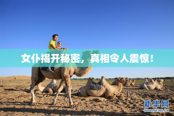 女仆揭开秘密，真相令人震惊！