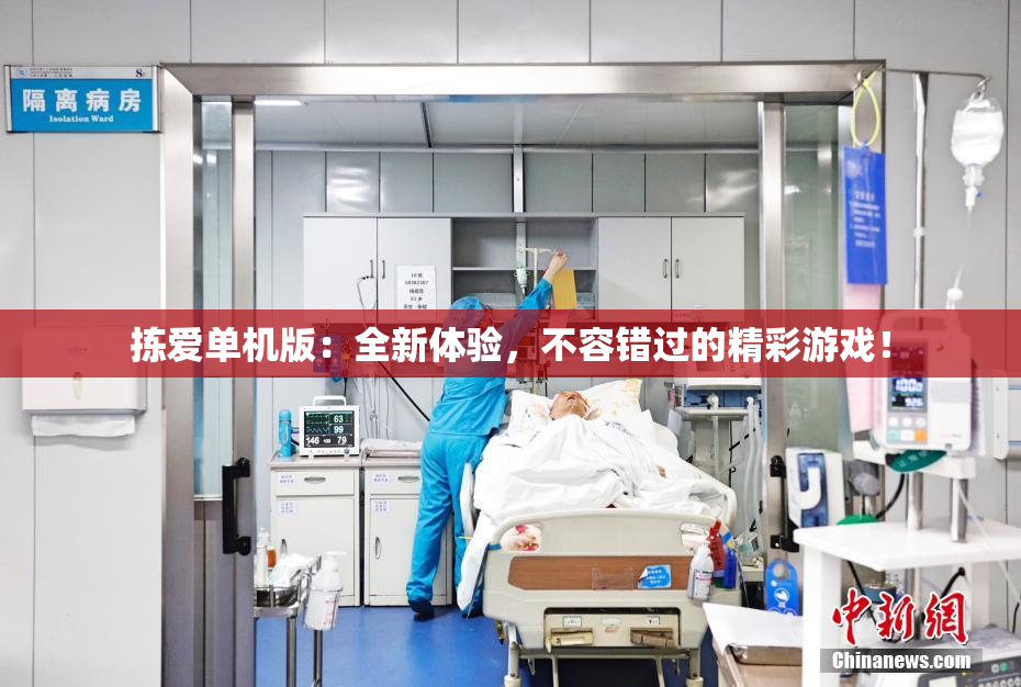 拣爱单机版：全新体验，不容错过的精彩游戏！