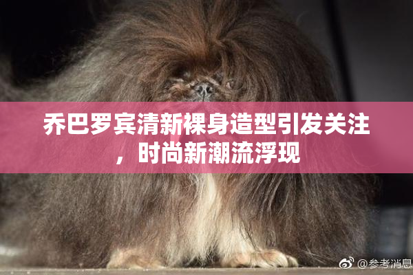 乔巴罗宾清新裸身造型引发关注，时尚新潮流浮现