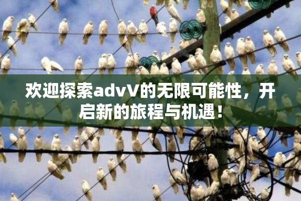 欢迎探索advV的无限可能性，开启新的旅程与机遇！