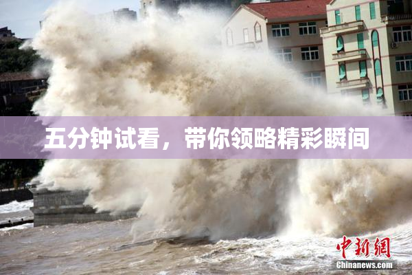 五分钟试看，带你领略精彩瞬间