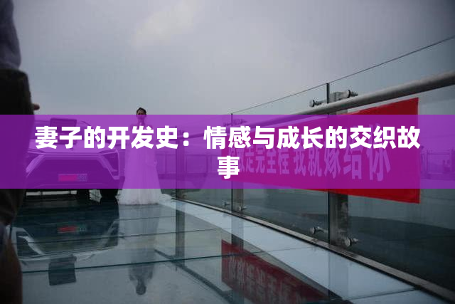 妻子的开发史：情感与成长的交织故事