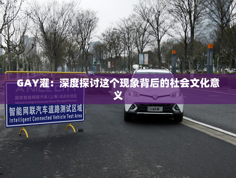GAY灌：深度探讨这个现象背后的社会文化意义