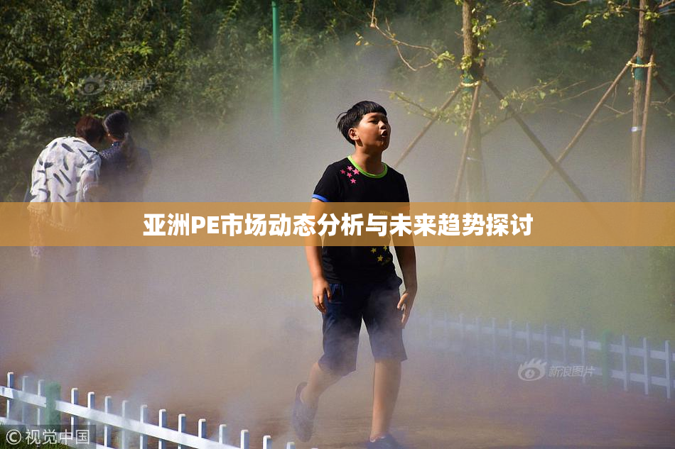 亚洲PE市场动态分析与未来趋势探讨