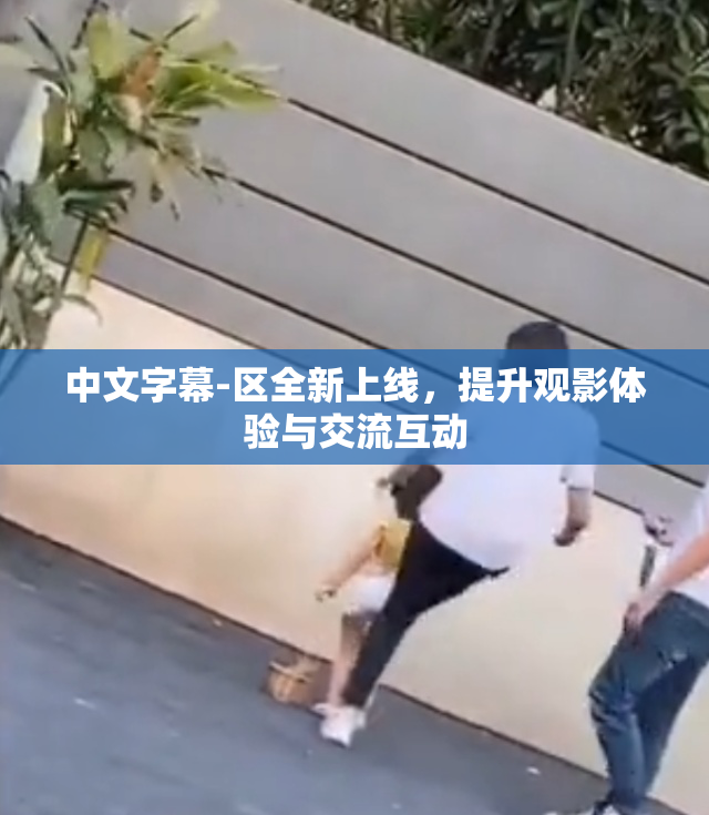 中文字幕-区全新上线，提升观影体验与交流互动