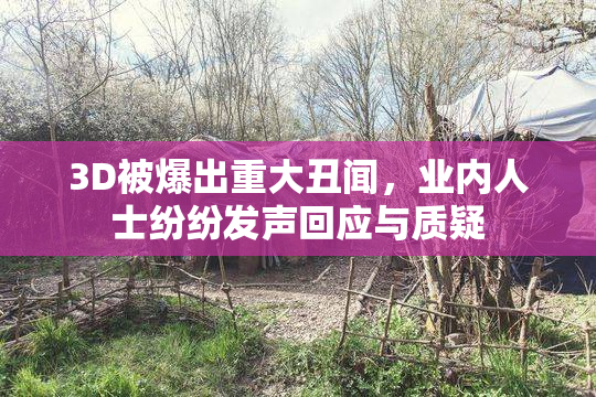 3D被爆出重大丑闻，业内人士纷纷发声回应与质疑