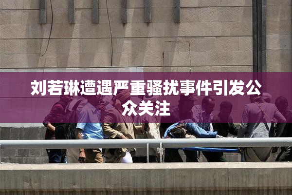 刘若琳遭遇严重骚扰事件引发公众关注