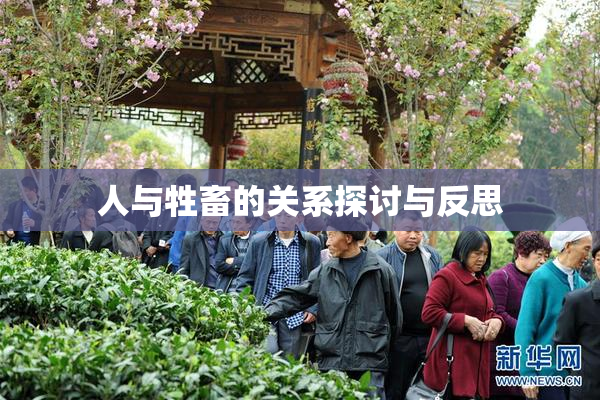 人与牲畜的关系探讨与反思