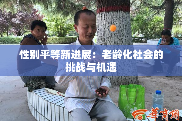 性别平等新进展：老龄化社会的挑战与机遇