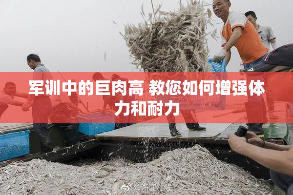 军训中的巨肉高 教您如何增强体力和耐力